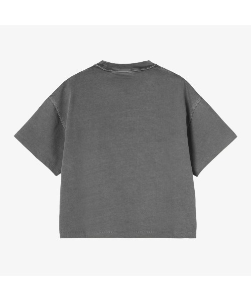 Carhartt WIP(カーハートダブリューアイピー)の「Carhartt WIP W' S/S BENTON T-SHIRT(カーハートワークインプログレス ウィメンズ ショートスリーブ ベントン Tシャツ)(Tシャツ/カットソー・メンズ・ピンク系/グレー系・X-SMALL/SMALL)」の4枚目の写真