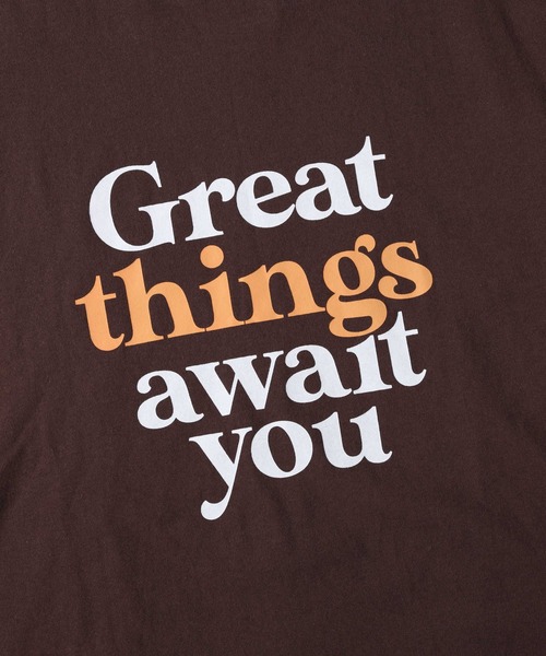 HONEYSUCKLE ROSE(ハニーサックルローズ)の「【HONEYSUCKLE ROSE】配色ロゴプリントTシャツ(Tシャツ/カットソー・レディース・ブラウン/ホワイト/グレー・L/M)」の13枚目の写真