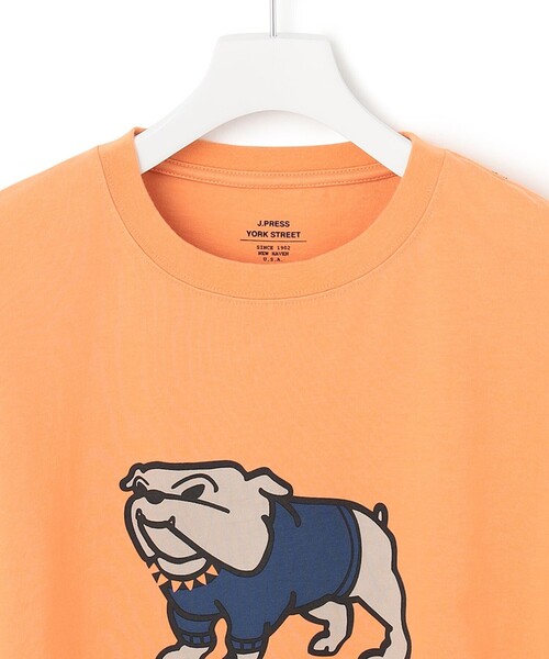 J.PRESS YORK STREET(ジェイプレスヨークストリート)の「【UNISEX】ブルドッグプリントTシャツ(Tシャツ/カットソー・メンズ・グレー系/ネイビー系/ホワイト系/スモーキーグリーン系/オレンジ系/ベージュ系・SMALL/MEDIUM/LARGE)」の13枚目の写真