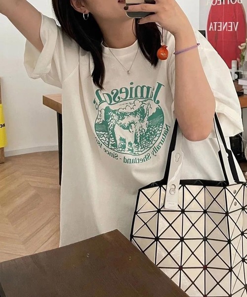 VitaFelice(ヴィータフェリーチェ)の「ルーズスタイル ロゴTシャツ(Tシャツ/カットソー・レディース・ホワイト/グリーン・FREE)」の17枚目の写真
