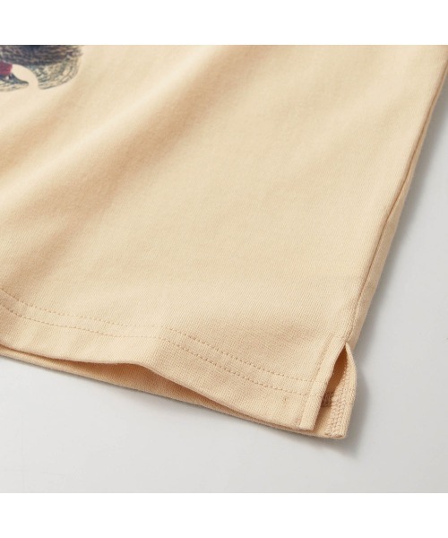 Belle Maison(ベルメゾン)の「リアル恐竜プリント半袖Tシャツ(Tシャツ/カットソー・キッズ・スミクロ/ライトベージュ/オフホワイト・100/110/120/130)」の7枚目の写真
