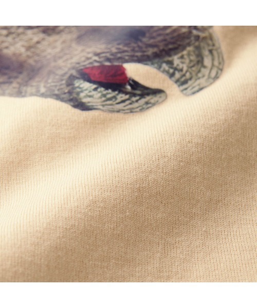 Belle Maison(ベルメゾン)の「リアル恐竜プリント半袖Tシャツ(Tシャツ/カットソー・キッズ・スミクロ/ライトベージュ/オフホワイト・100/110/120/130)」の8枚目の写真