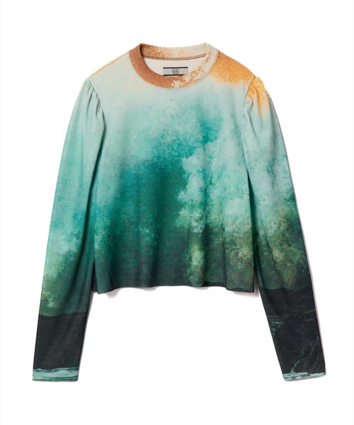 NON TOKYO(ノントーキョー)の「NON TOKYO/ノントーキョー/PRINT RIB PUFF SLEEVE C/SプリントリブパフスリーブC/S(Tシャツ/カットソー・レディース・その他3/その他1・F)」の9枚目の写真