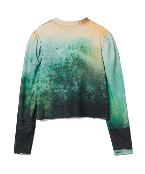 NON TOKYO(ノントーキョー)の「NON TOKYO/ノントーキョー/PRINT RIB PUFF SLEEVE C/SプリントリブパフスリーブC/S(Tシャツ/カットソー・レディース・その他3/その他1・F)」の10枚目の写真