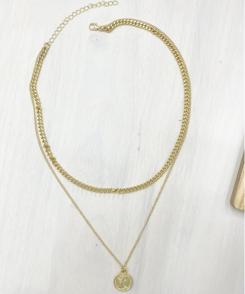apres jour（アプレジュール）の「【apres jour×ARIAZ】コインネックレス2セット（ネックレス・レディース・シルバー/ゴールド・FREE）」の6枚目の写真