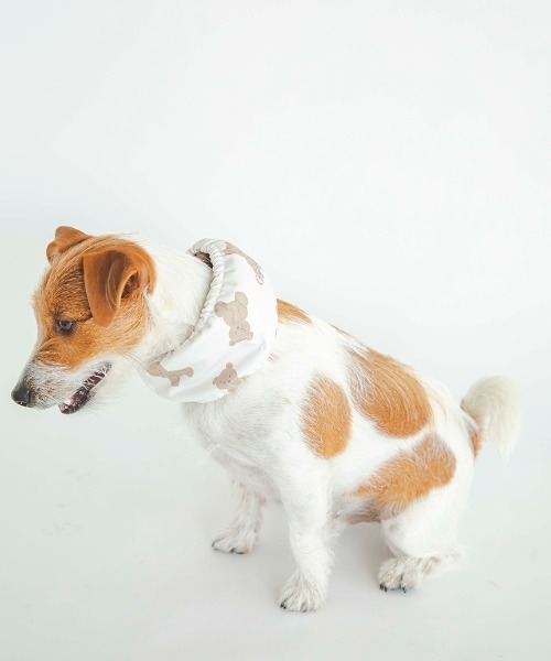 GELATO PIQUE 犬刺繍ルームウェアセット GELATO PIQUE 犬デザイン ルームウェアセット （gelato pique