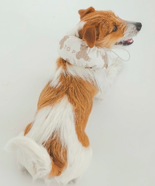 CAT&DOG】【販路限定商品】COOLネックカバー（ペットウェア