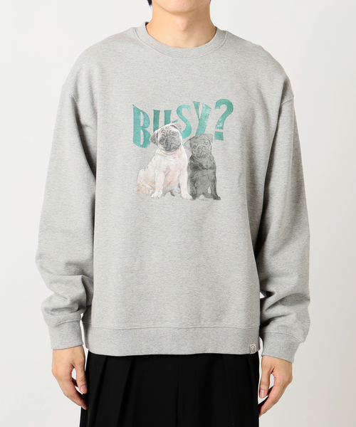 セール】ドッグ柄 アソートクルーネックスウェット（スウェット）｜B.C