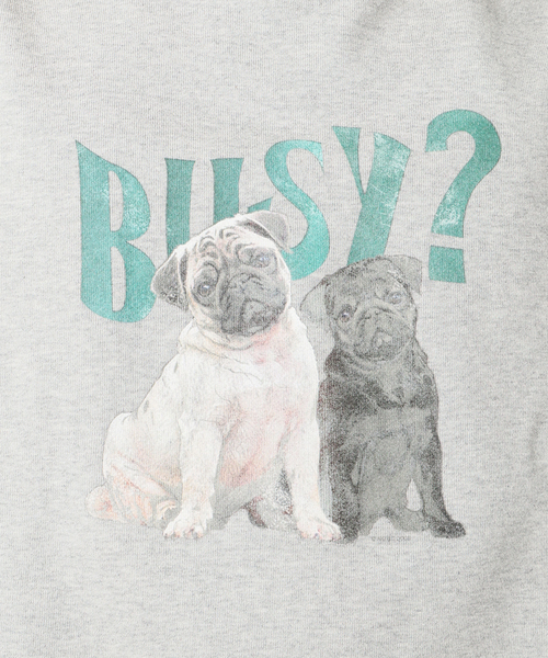 B.C STOCK（ベーセーストック）の「ドッグ柄 アソートクルーネックスウェット（スウェット・メンズ・グレー/チャコールグレー/ホワイト/アイボリー/ライトグレー・MEDIUM/LARGE）」の21枚目の写真