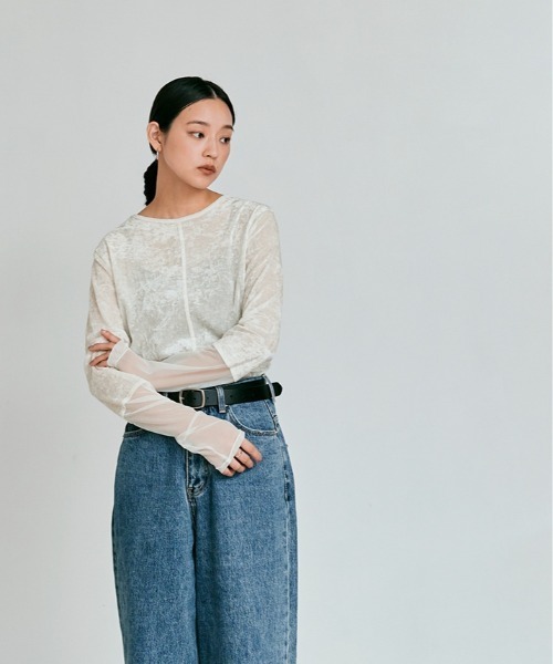 W:Huku（フーク）の「スリーブ 切り替え メッシュ ベロア トップス / Mesh Sleeve Sheer Velour Top（Tシャツ/カットソー・レディース・ブラック/ブルー系/ブラウン/オフホワイト・FREE）」の9枚目の写真