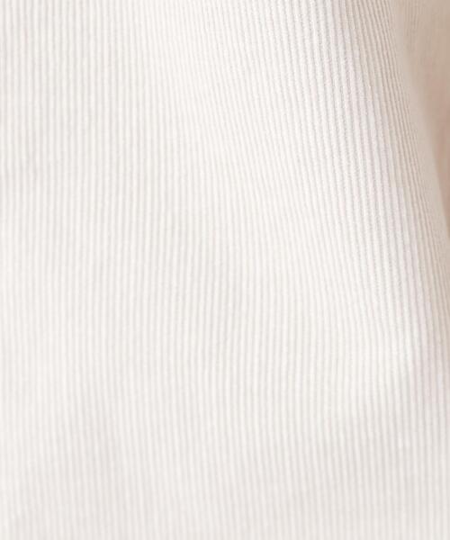 NATURAL BEAUTY BASIC(ナチュラルビューティーベーシック)の「コーデュロイパンツ(その他パンツ・レディース・ベージュ/ボルドー・P/S/MEDIUM)」の19枚目の写真