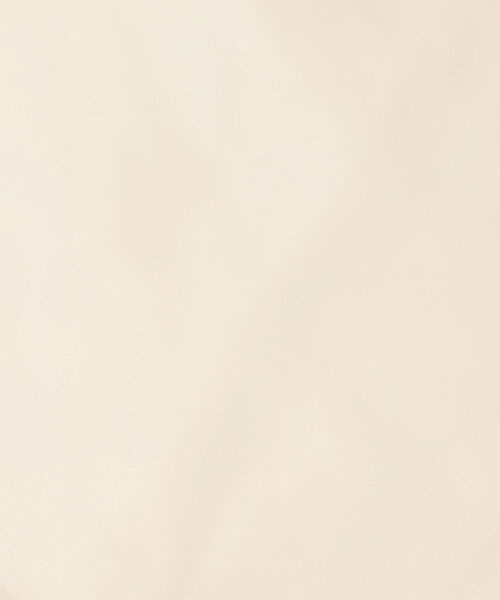 NOLLEY’S（ノーリーズ）の「◇【WEB限定】ショールダウンコート（ダウンジャケット/コート・レディース・ライトグリーン/キナリ/ブラック・FREE）」の10枚目の写真