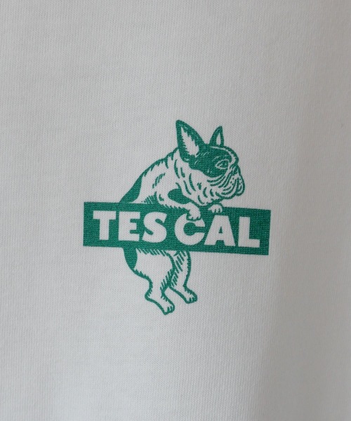 The Endless Summer(エンドレスサマー)の「【WEB / FLAG SHOP限定】TES CAL BOX LOGO 1point PT BIG T-SHIRT /オーバーサイズ・ビッグシルエット・半袖T(Tシャツ/カットソー・メンズ・レッド/グリーン/ブルー・SMALL/MEDIUM/LARGE/X-LARGE)」の6枚目の写真