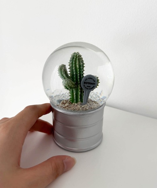 CANAL JEAN(キャナルジーン)の「DULTON PLANTS WATER GLOBE EUPHORBIA ECHINUS プランツウォーターグローブユーフォルビアエキヌス/NB-0676/004(インテリア雑貨・レディース・シルバー・ONE SIZE)」の2枚目の写真