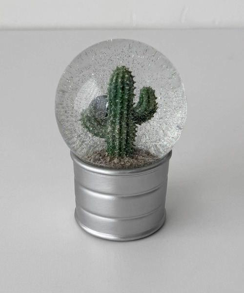 CANAL JEAN(キャナルジーン)の「DULTON PLANTS WATER GLOBE EUPHORBIA ECHINUS プランツウォーターグローブユーフォルビアエキヌス/NB-0676/004(インテリア雑貨・レディース・シルバー・ONE SIZE)」の4枚目の写真