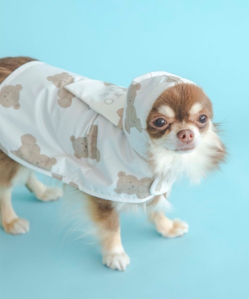 GELATO PIQUE チワワ Chihuahua ルームウェア gelato pique（ジェラートピケ）の「【CAT&DOG】【販路限定商品