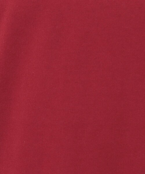 DRESKIP（ドレスキップ）の「◆【UV】秋色で大人のこなれ感 お袖タックトップス（Tシャツ/カットソー・レディース・ブラック/ライトベージュ/ブラウン系/ボルドー・03/02/04）」の8枚目の写真