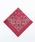 BACKYARD FAMILY�i�o�b�N���[�h�t�@�~���[�j�́u�n�o�n���N HAV-A-HANK PAISLEY BANDANNA�i�n���J�`/�n���h�^�I���j�v�b�o�[�K���f�B�[