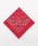 BACKYARD FAMILY�i�o�b�N���[�h�t�@�~���[�j�́u�n�o�n���N HAV-A-HANK PAISLEY BANDANNA�i�n���J�`/�n���h�^�I���j�v�b���b�h