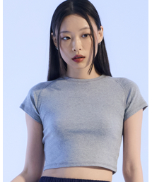 パネルシームクロップTシャツ(グレー)