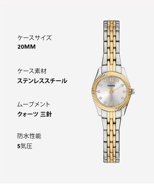 FOSSIL(フォッシル)の「フォッシル 腕時計 レディース アナログ ステンレス ES5473(アナログ腕時計・レディース・マルチ・FREE)」の10枚目の写真