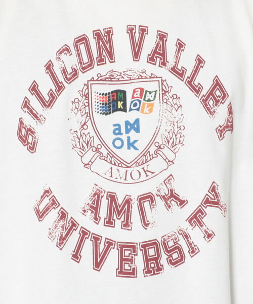 ROYAL FLASH（ロイヤルフラッシュ）の「amok /アモク/別注 SILICON VALLEY LS カットソー（Tシャツ/カットソー・メンズ・イエロー/ホワイト/オレンジ・FREE）」の12枚目の写真