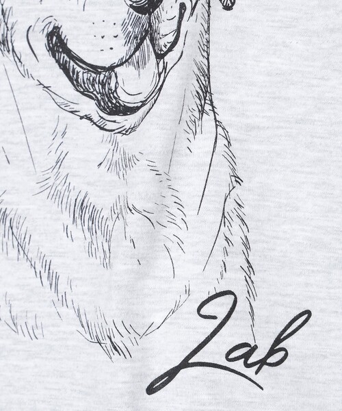 fLAnsisCA（フランシスカ）の「fLAnsisCA / Print Tshirt 25SS ⑥（Tシャツ/カットソー・メンズ・ライトグレー・S/M/L/XL）」の8枚目の写真