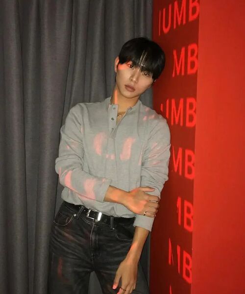DUSTYWHITE(ダスティーホワイト)の「GREY HENLEY NECK COTTON SHIRT(Tシャツ/カットソー・メンズ・その他・MEDIUM/LARGE/X-LARGE)」の10枚目の写真