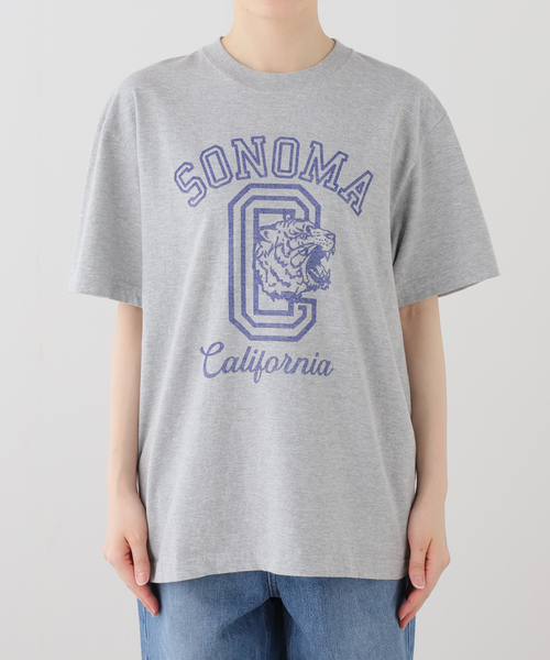 JOURNAL STANDARD LUXE（ジャーナルスタンダード　ラックス）の「SONOMA Print T（Tシャツ/カットソー・レディース・グレー/ホワイト・FREE）」の14枚目の写真