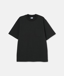 SEAGREEN（シーグリーン）の「SEAGREEN(シーグリーン) KNIT RIB T-SHIRT（Tシャツ/カットソー）」