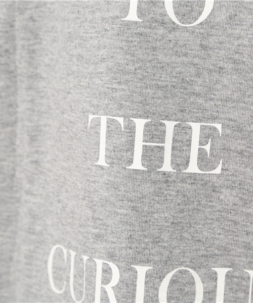 OUTLET（アウトレット）の「【Discoat】20/-CR袖タックロゴT（Tシャツ/カットソー・レディース・杢グレー・LARGE/MEDIUM）」の9枚目の写真