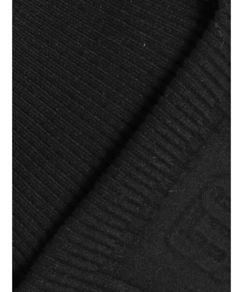 GYDA（ジェイダ）の「GYGYエンボスニットトップス（ニット/セーター・レディース・オフホワイト/ブラック/スカイブルー・FREE）」の16枚目の写真