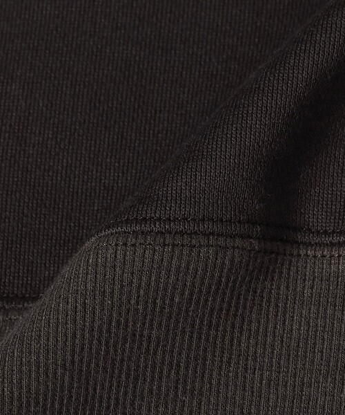 Demi-Luxe BEAMS（デミルクス ビームス）の「裏毛 クロップド プルオーバー（スウェット・レディース・チャコールグレー/ブラウン系その他2・ONE SIZE）」の22枚目の写真