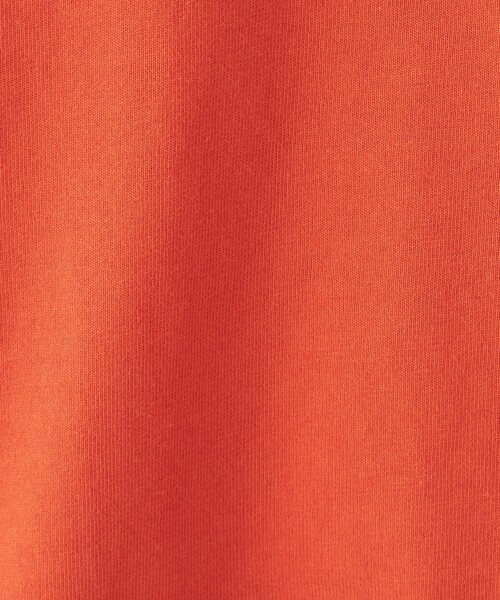 WILD THINGS（ワイルドシングス）の「【別注】＜WILD THINGS＞ショートスリーブビッグTシャツ ICE / キッズ 140cm-160cm（Tシャツ/カットソー・キッズ・オフホワイト/ブラック/オレンジ・L(160cm)/M(140-150cm)）」の20枚目の写真