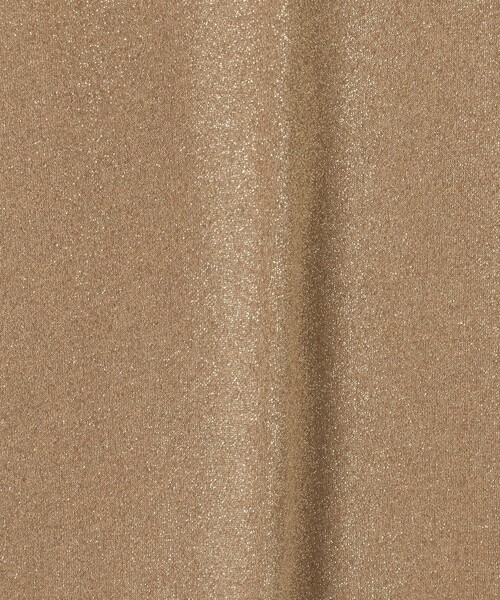 UNITED ARROWS（ユナイテッドアローズ）の「ラメ ノースリーブ カットソー（Tシャツ/カットソー・レディース・シルバー/ナチュラル/ブラック・FREE）」の20枚目の写真