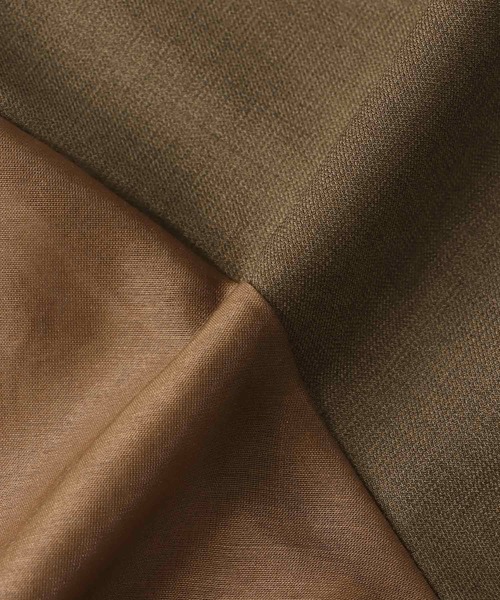 Jines（ジネス）の「シアースリーブピンタックワンピース（ワンピース・レディース・ブラウン/ベージュ・38）」の12枚目の写真