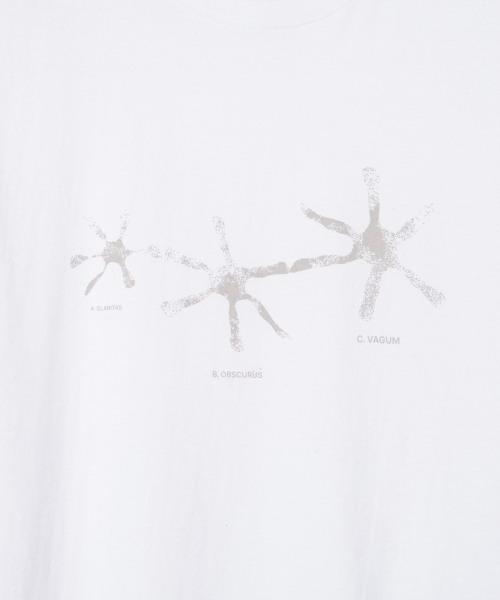 Millo Archive（ミロ アーカイブ）の「クレッセンド・フェージドTシャツ [ホワイト]（Tシャツ/カットソー・メンズ・その他・MEDIUM/LARGE/X-LARGE）」の3枚目の写真