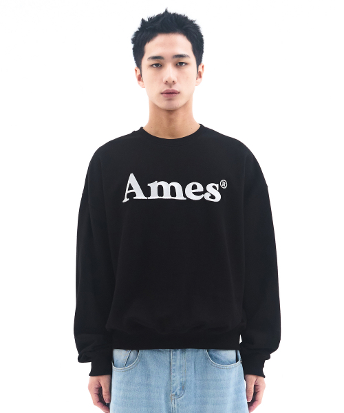 AMESWORLDWIDE（アメスワールドワイド）の「BASIC LOGO SWEATSHIRT BLACK（スウェット・メンズ・その他・SMALL/MEDIUM/LARGE）」の4枚目の写真