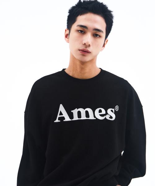 AMESWORLDWIDE（アメスワールドワイド）の「BASIC LOGO SWEATSHIRT BLACK（スウェット・メンズ・その他・SMALL/MEDIUM/LARGE）」の10枚目の写真