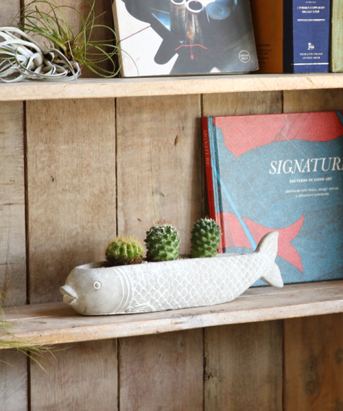 SPICE OF LIFE（スパイス オブ ライフ）の「フィッシュプランター Sサイズ（フラワーベース・レディース・ブラック/グレー・ONE SIZE）」の13枚目の写真