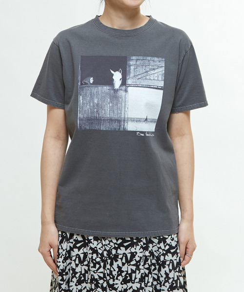 martinique（マルティニーク）の「《別注》【COUTURE D`ADAM /クチュールドアダム 】Sam Haskins/ HorseTee（Tシャツ/カットソー・レディース・ブラック・38/40）」の8枚目の写真