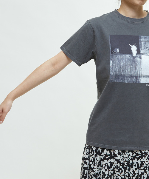 martinique（マルティニーク）の「《別注》【COUTURE D`ADAM /クチュールドアダム 】Sam Haskins/ HorseTee（Tシャツ/カットソー・レディース・ブラック・38/40）」の11枚目の写真