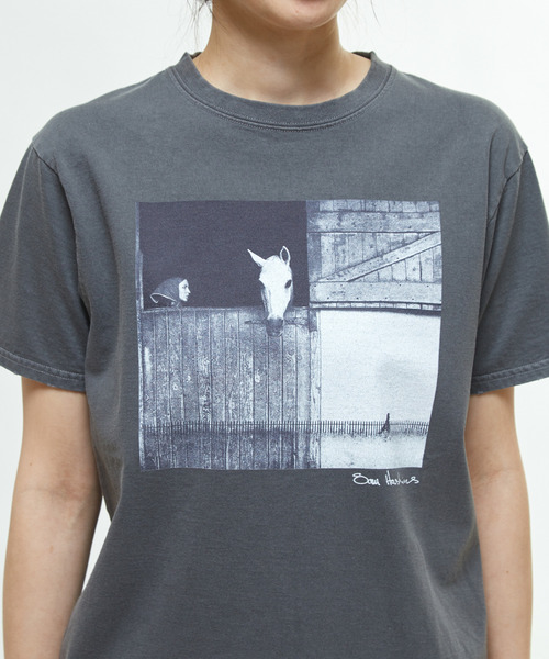 martinique（マルティニーク）の「《別注》【COUTURE D`ADAM /クチュールドアダム 】Sam Haskins/ HorseTee（Tシャツ/カットソー・レディース・ブラック・38/40）」の12枚目の写真