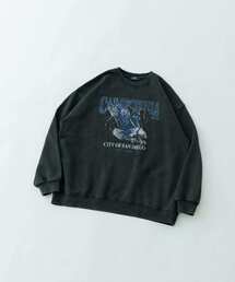ITEMS URBANRESEARCH | 『XLサイズあり』パウダー加工 クルーネックスウェットプルオーバー(スウェット)