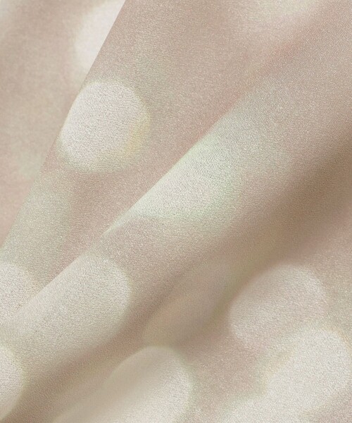 RBS（アールビーエス）の「RBS / シアー ドット プリント Tシャツ（Tシャツ/カットソー・レディース・サックスブルー/ベージュ・ONE SIZE）」の12枚目の写真