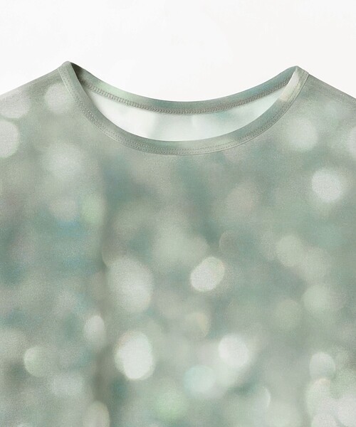 RBS（アールビーエス）の「RBS / シアー ドット プリント Tシャツ（Tシャツ/カットソー・レディース・サックスブルー/ベージュ・ONE SIZE）」の14枚目の写真