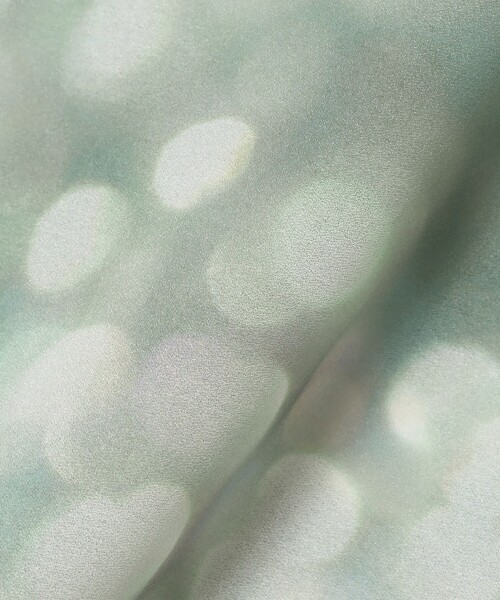 RBS（アールビーエス）の「RBS / シアー ドット プリント Tシャツ（Tシャツ/カットソー・レディース・サックスブルー/ベージュ・ONE SIZE）」の17枚目の写真