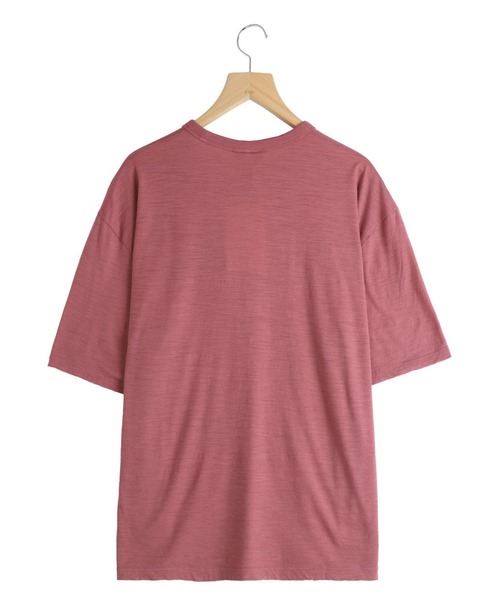 ICEBREAKER（アイスブレーカー）の「icebreaker / アイスブレーカー：U NATURE DYE SS TE：IB0A56ZG[STD]（Tシャツ/カットソー・メンズ・桜/ブラウン系その他/レッド系その他・M/L/XL）」の12枚目の写真