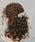 GIUNONiWEmj́upale color check chouchou / y[J[`FbNVViVVjvbuE