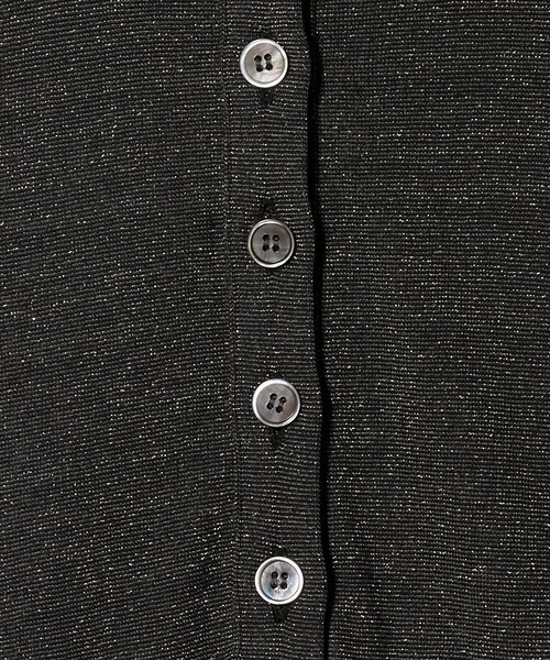 Steven Alan（スティーブンアラン）の「＜Steven Alan＞ラメ ジャージー ポロカットソー（Tシャツ/カットソー・レディース・オフホワイト/グレー系/ブラック・FREE）」の19枚目の写真